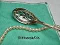 1880 Tiffany & Co. Sterling Silver Chrysanthemum Pattern Pierced Bowl Olive Spoon!!