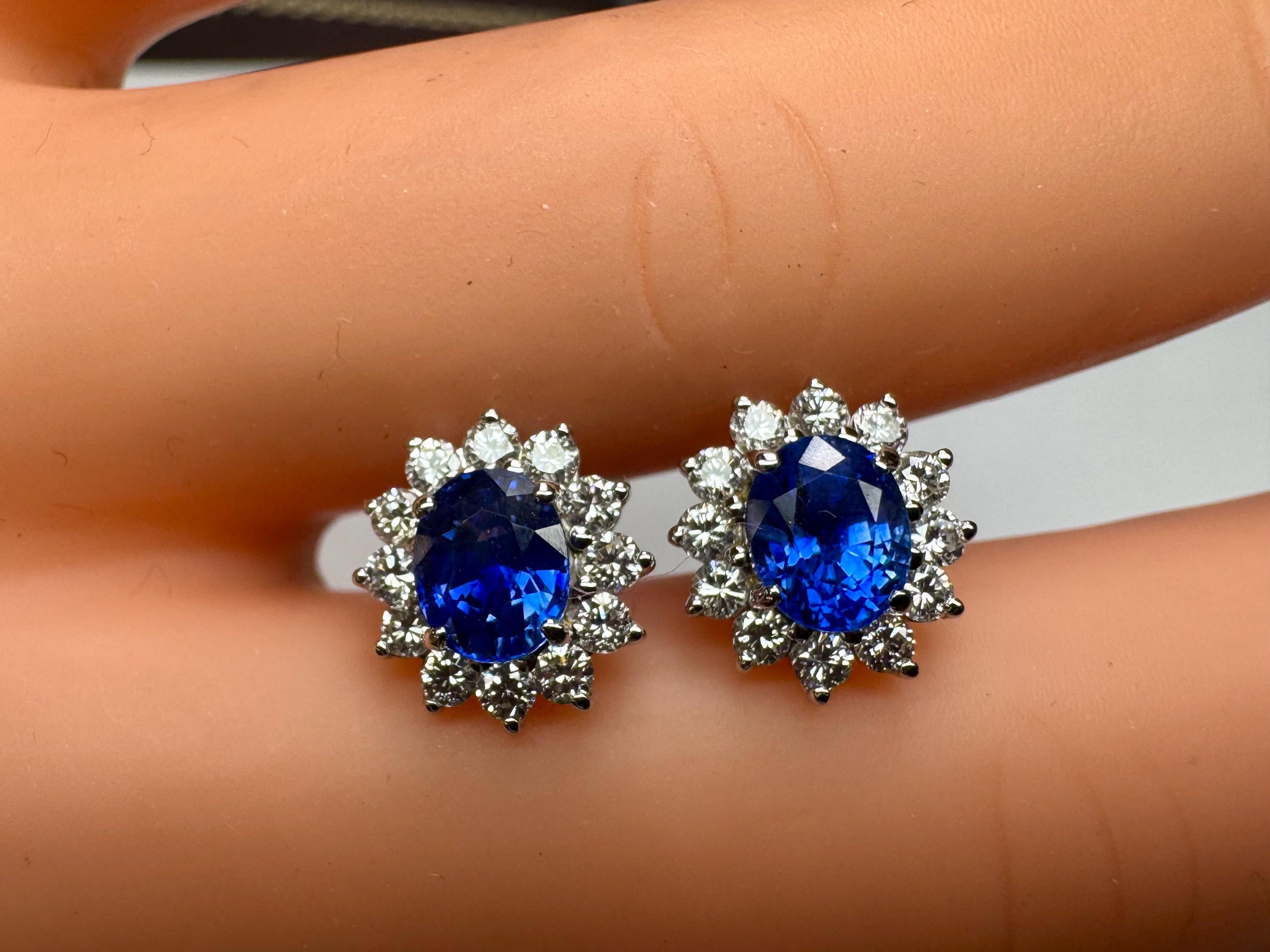 18K White Gold Sapphire & Diamond Stud Earrings: Royal Blue Elegance
