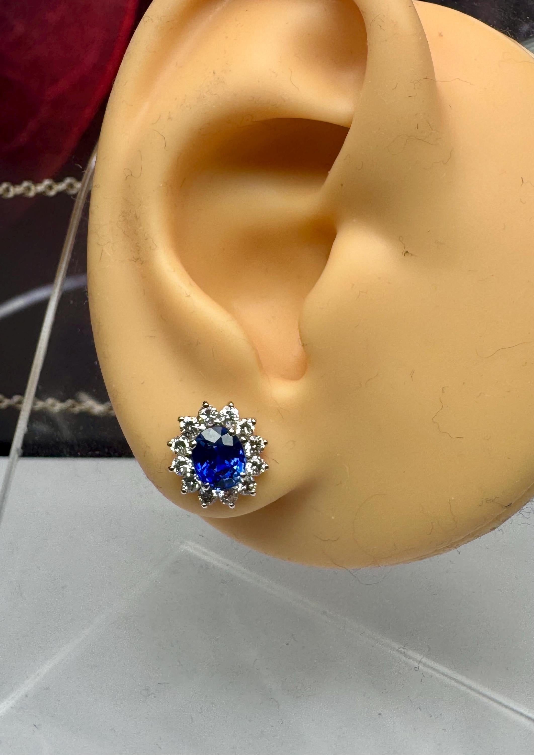 18K White Gold Sapphire & Diamond Stud Earrings: Royal Blue Elegance
